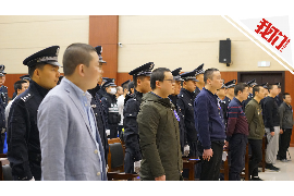 平舆如何避免债务纠纷？专业追讨公司教您应对之策